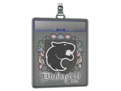 Sticker Slab | FURIA | Budapest 2025