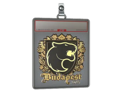 Sticker Slab | FURIA (Gold) | Budapest 2025