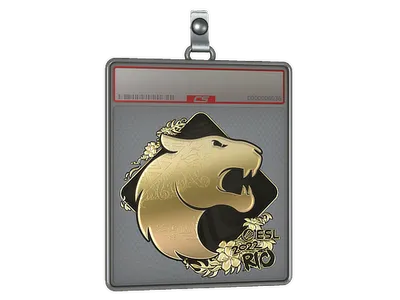 Sticker Slab | FURIA (Gold) | Rio 2022