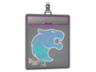 Sticker Slab | FURIA (Holo) | Paris 2023