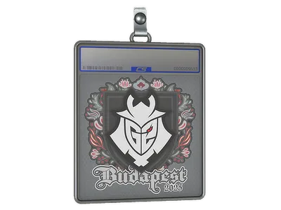 Sticker Slab | G2 esports | Budapest 2025