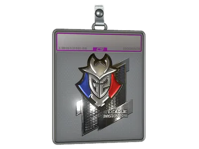 Sticker Slab | G2 Esports (Foil) | Boston 2018