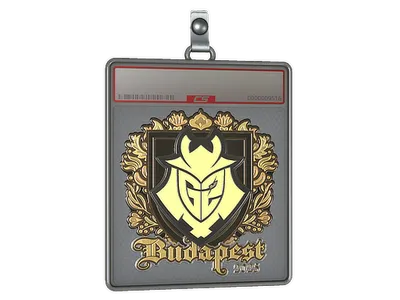 Sticker Slab | G2 esports (Gold) | Budapest 2025