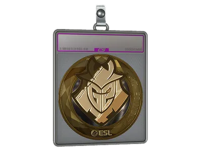 Sticker Slab | G2 Esports (Gold) | Katowice 2019