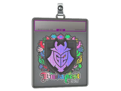 Sticker Slab | G2 esports (Holo) | Budapest 2025