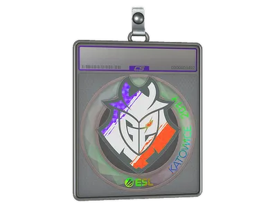 Sticker Slab | G2 Esports (Holo) | Katowice 2019