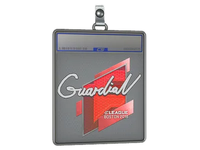 Sticker Slab | GuardiaN | Boston 2018