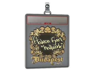 Sticker Slab | hallzerk (Gold) | Budapest 2025
