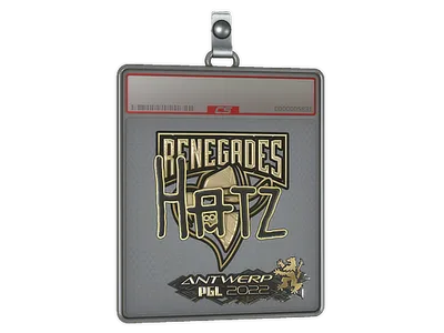 Sticker Slab | hatz (Gold) | Antwerp 2022