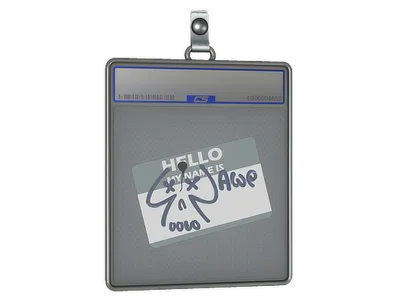 Sticker Slab | Hello AWP