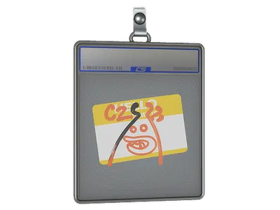 Sticker Slab | Hello CZ75-Auto