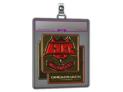 Sticker Slab | HellRaisers (Gold) | DreamHack 2014