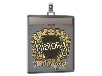 Sticker Slab | History (Gold) | Budapest 2025