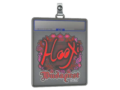 Sticker Slab | HooXi | Budapest 2025