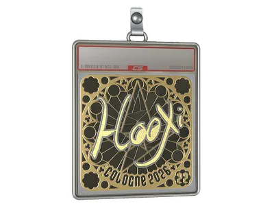Sticker Slab | HooXi (Gold, Ranked) | Cologne 2026