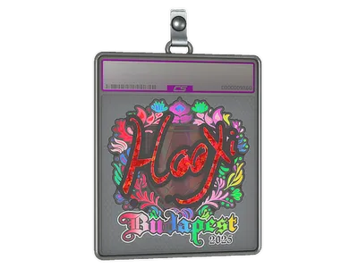 Sticker Slab | HooXi (Holo) | Budapest 2025