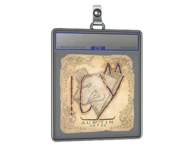 Sticker Slab | ICY | Austin 2025