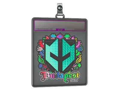 Sticker Slab | Imperial Esports (Holo) | Budapest 2025