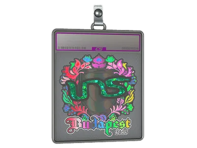 Sticker Slab | INS (Holo) | Budapest 2025