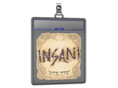 Sticker Slab | insani | Austin 2025