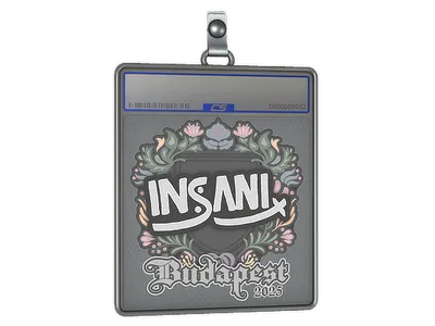 Sticker Slab | insani | Budapest 2025