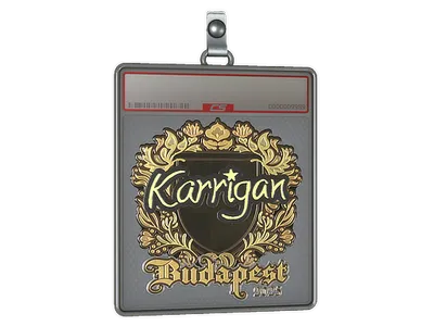 Sticker Slab | karrigan (Gold) | Budapest 2025