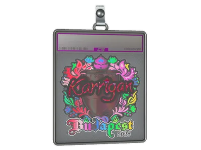 Sticker Slab | karrigan (Holo) | Budapest 2025