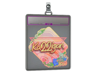 Sticker Slab | karrigan (Holo) | Rio 2022