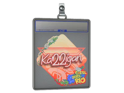 Sticker Slab | karrigan | Rio 2022