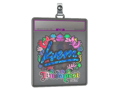 Sticker Slab | Kvem (Holo) | Budapest 2025