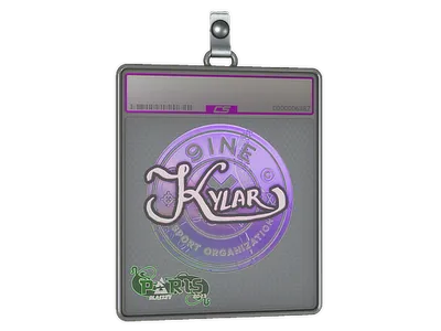 Sticker Slab | Kylar (Holo) | Paris 2023