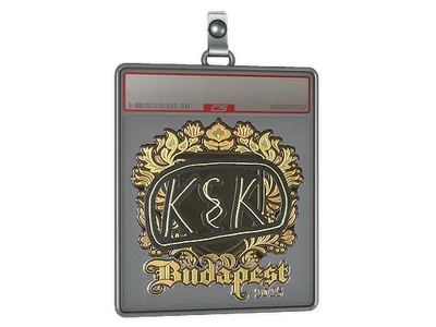 Sticker Slab | kyousuke (Gold) | Budapest 2025