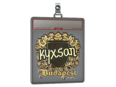 Sticker Slab | kyxsan (Gold) | Budapest 2025