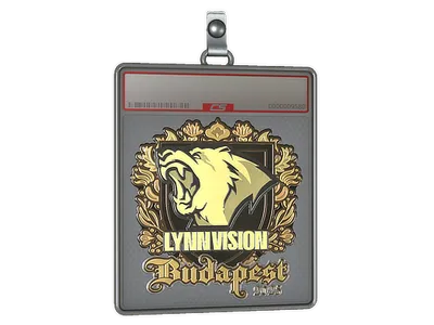 Sticker Slab | Lynn Vision (Gold) | Budapest 2025