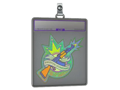 Sticker Slab | Master Guardian (Holo)