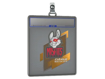 Sticker Slab | Misfits Gaming | Boston 2018