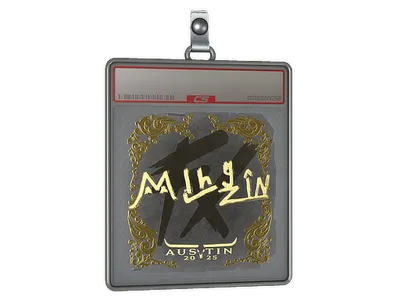 Sticker Slab | mlhzin (Gold) | Austin 2025