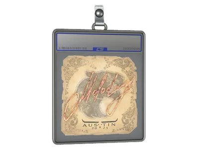 Sticker Slab | molodoy | Austin 2025