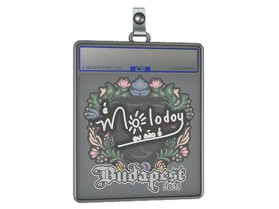 Sticker Slab | molodoy | Budapest 2025