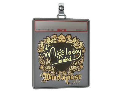 Sticker Slab | molodoy (Gold) | Budapest 2025