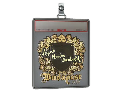 Sticker Slab | mzinho (Gold) | Budapest 2025