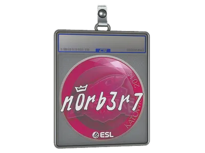 Sticker Slab | n0rb3r7 | Katowice 2019