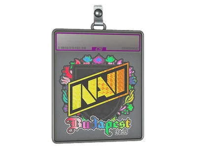 Sticker Slab | Natus Vincere (Holo) | Budapest 2025