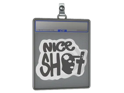 Sticker Slab | Nice Shot