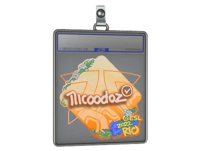 Sticker Slab | nicoodoz | Rio 2022