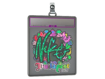 Sticker Slab | NiKo (Holo) | Budapest 2025