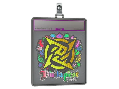 Sticker Slab | Ninjas in Pyjamas (Holo) | Budapest 2025