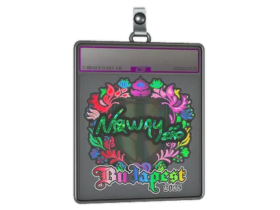 Sticker Slab | noway (Holo) | Budapest 2025