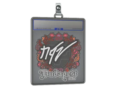 Sticker Slab | NQZ | Budapest 2025