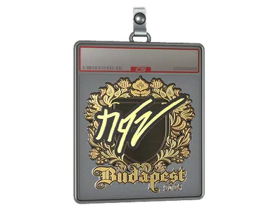 Sticker Slab | NQZ (Gold) | Budapest 2025